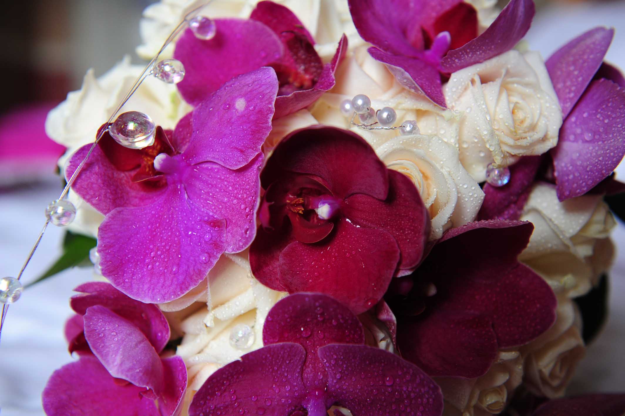 image of a wortley hall wedding